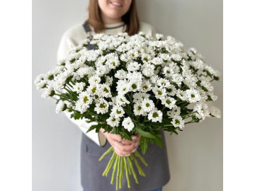 Букет из белой хризантемы 