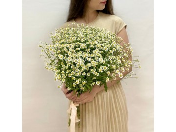 Букет из танацетума