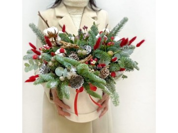 Новогодняя коробка с нобилисом