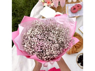 КОЛЛЕКЦИЯ БАРБИ Воздушная гипсофила