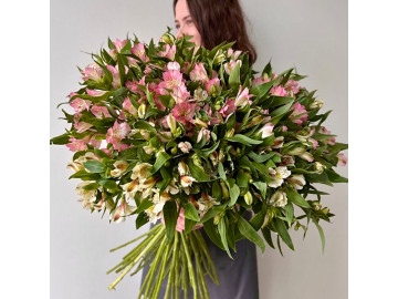 Букет из нежных и стойких альстромерий