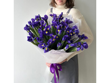 Большой букет ирисов в упаковке