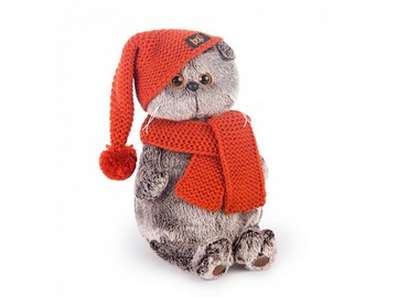 Кот Басик в вязаной шапке и шарфе