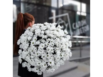 Облако ромашек